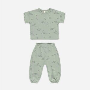 NWT - Quincy Mae Dinos ORGANIC set